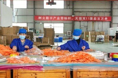 開門紅!天貓雙11首日產業帶“廠貨”成交額是去年17倍!